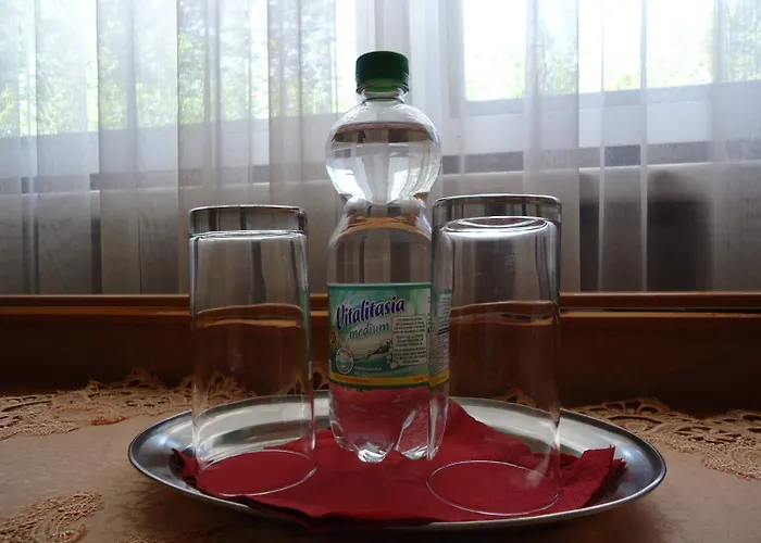 酒店 奥特斯勒本酒店 马格德堡